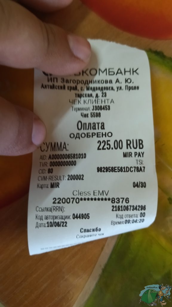 чек за обед в Медведевке