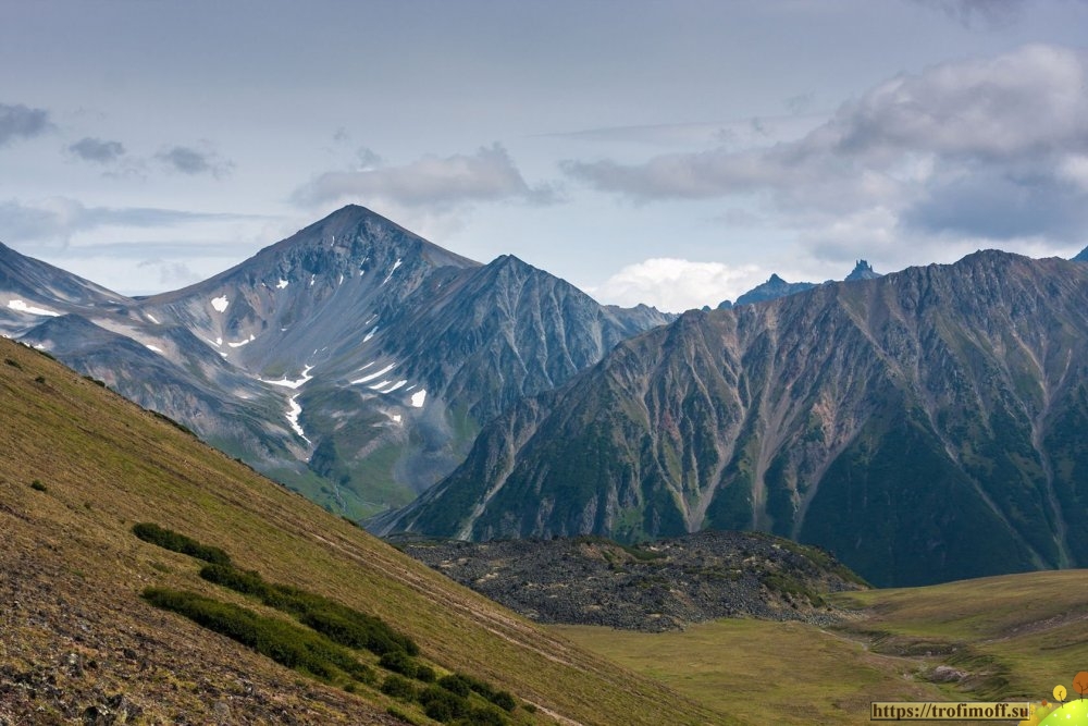 Бакенинг