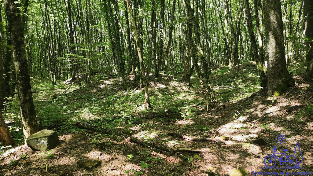 Археологические раскопки у подножия хребта Грузинка: тайны древних курганов и дольменов в станице Шапсугской