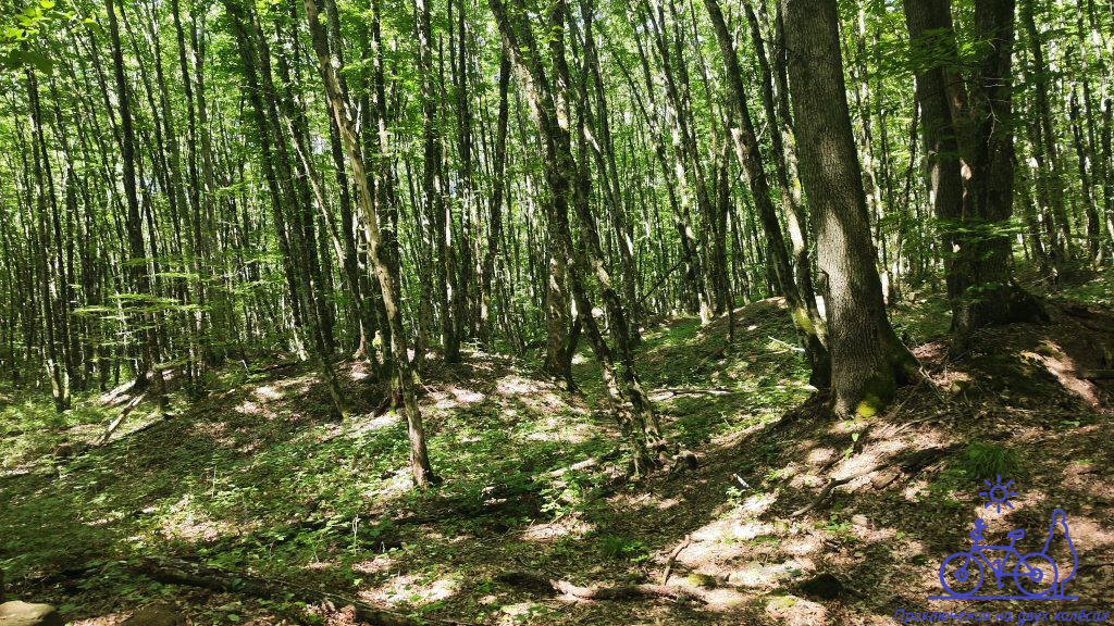 Археологические раскопки у подножия хребта Грузинка: тайны древних курганов и дольменов в станице Шапсугской